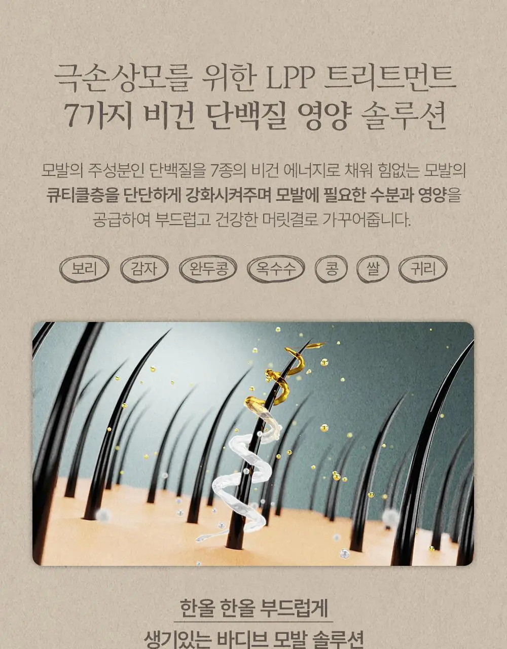 [대용량] 바디브 약산성 미용실 퍼퓸 샴푸 [비듬 가려움 개선] 5종 택 1 상세페이지 8